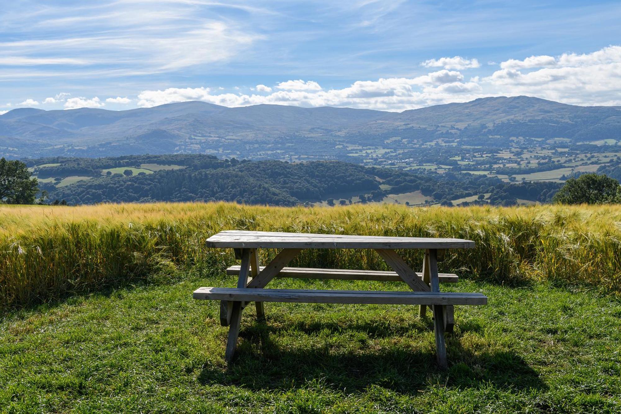 Waenfechan Glamping With Hot Tubs Colwyn Bay Buitenkant foto